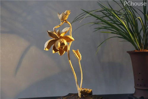 廣州看展靈感 精選軟裝與景觀工程，家居設計瞬間提升高級感